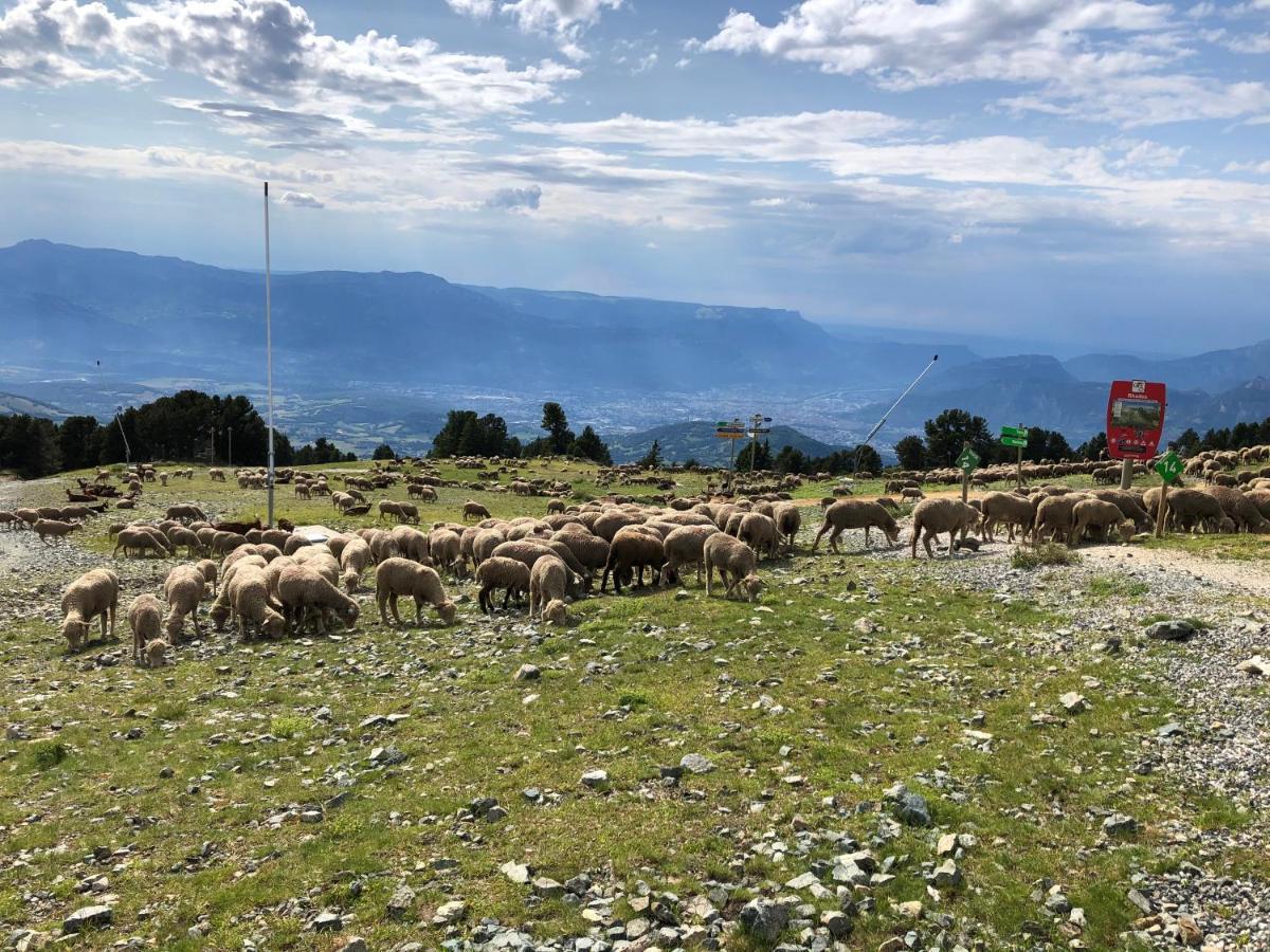 T2 chamrousse Bachat Bouloud Lejlighed Eksteriør billede