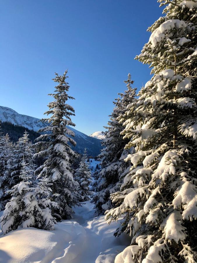 T2 chamrousse Bachat Bouloud Lejlighed Eksteriør billede