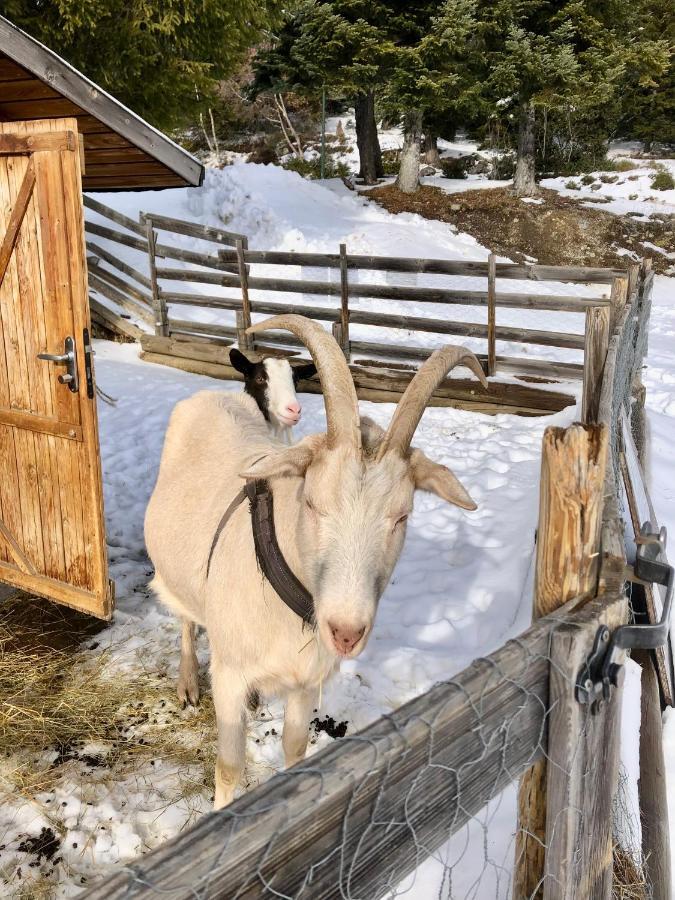T2 chamrousse Bachat Bouloud Lejlighed Eksteriør billede